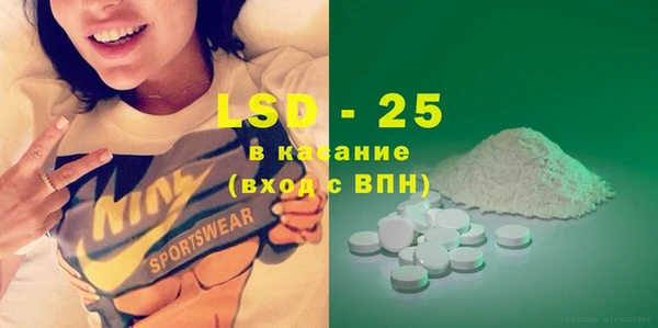 индика Абаза