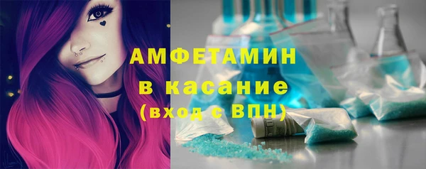 индика Абаза