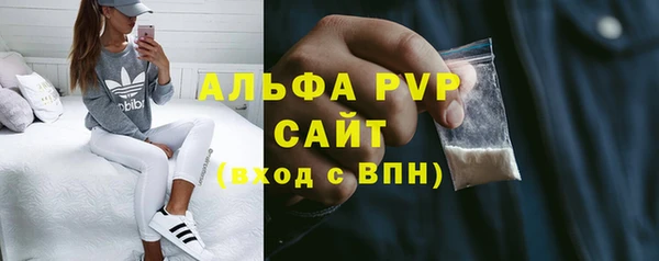 индика Абаза