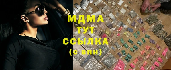 индика Абаза