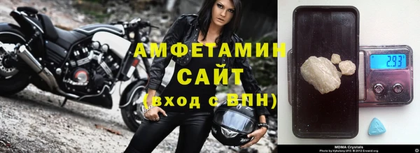 индика Абаза